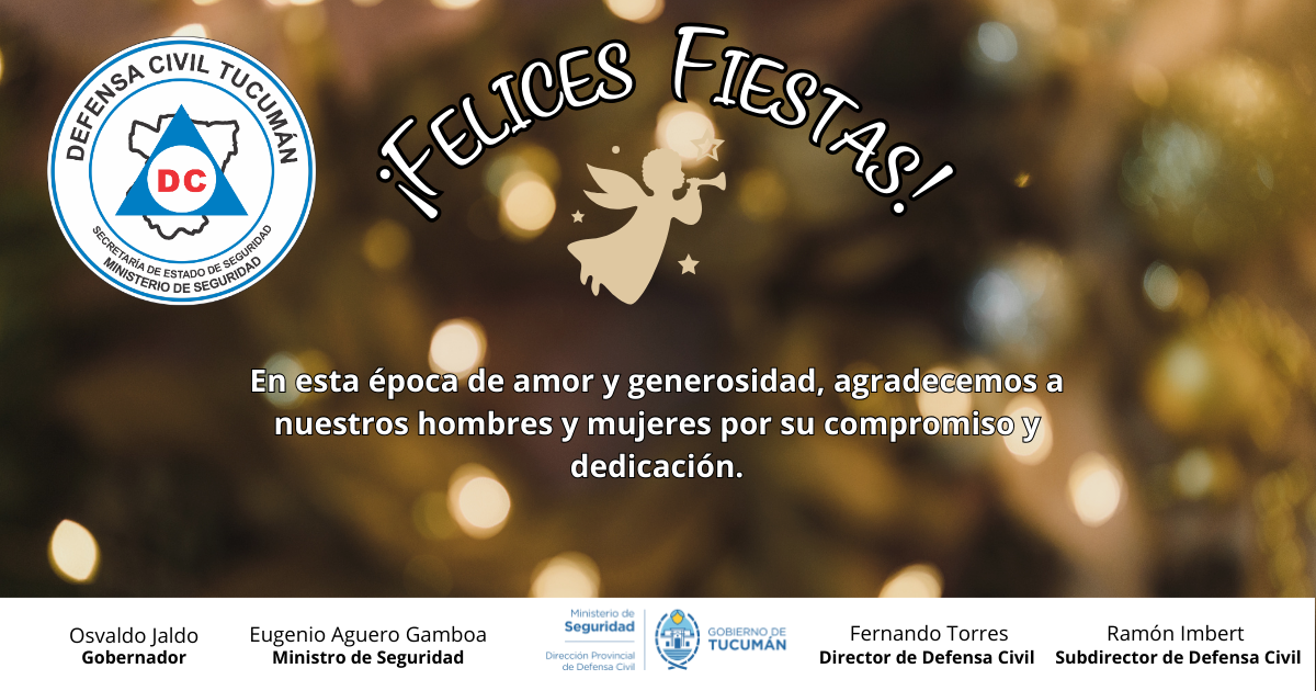 FELICES FIESTAS