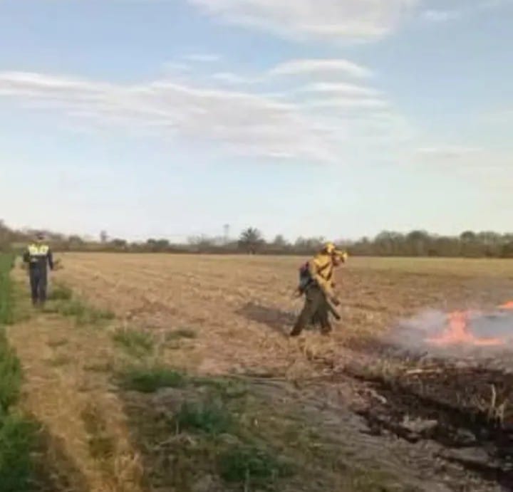 En distintos puntos de la provincia se intervinieron focos de incendios forestales