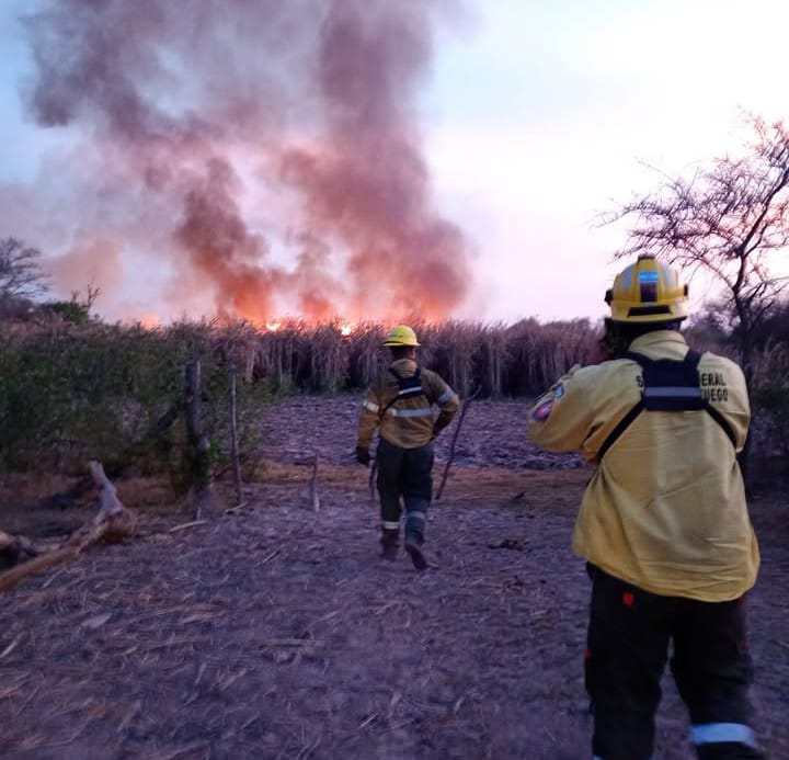 Incendio Forestal Laguna Blanca y Carbón Pozo – Dpto. Leales