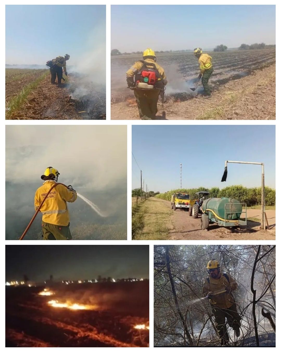 La Brigada Forestal de Tucumán participó en diversas intervenciones por incendios forestales y de cultivo en distintos puntos de la provincia.