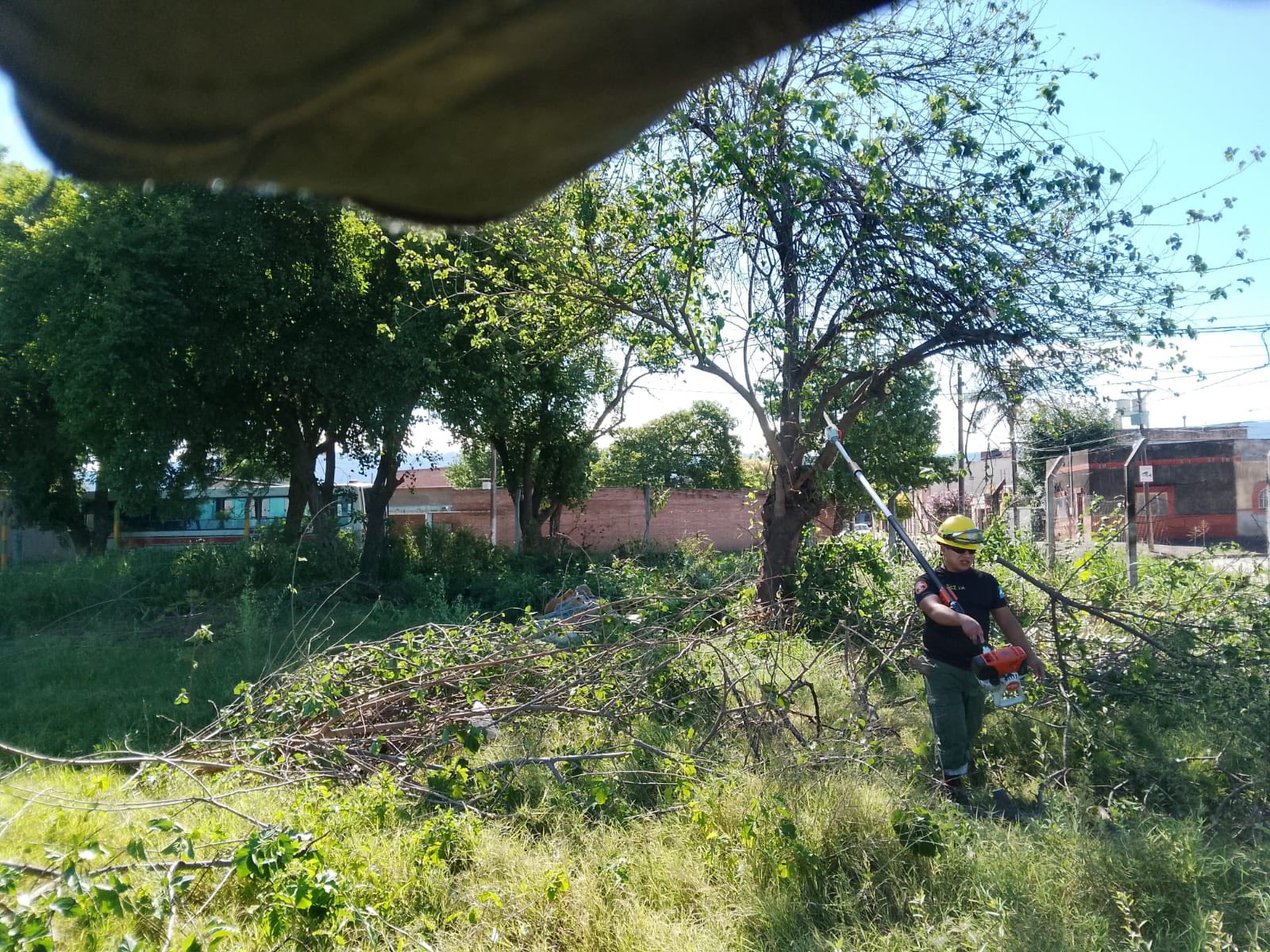 Tareas de poda de árboles en la intersección de calles Corrientes y Esquiú