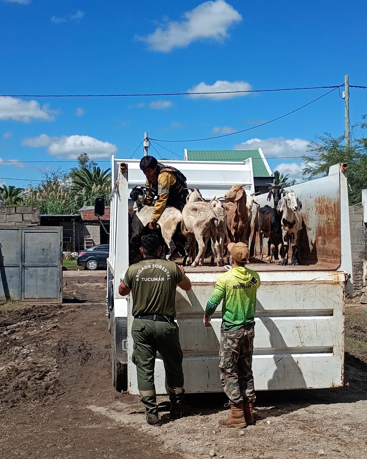 Colaboración con productores de Sur de Trejos