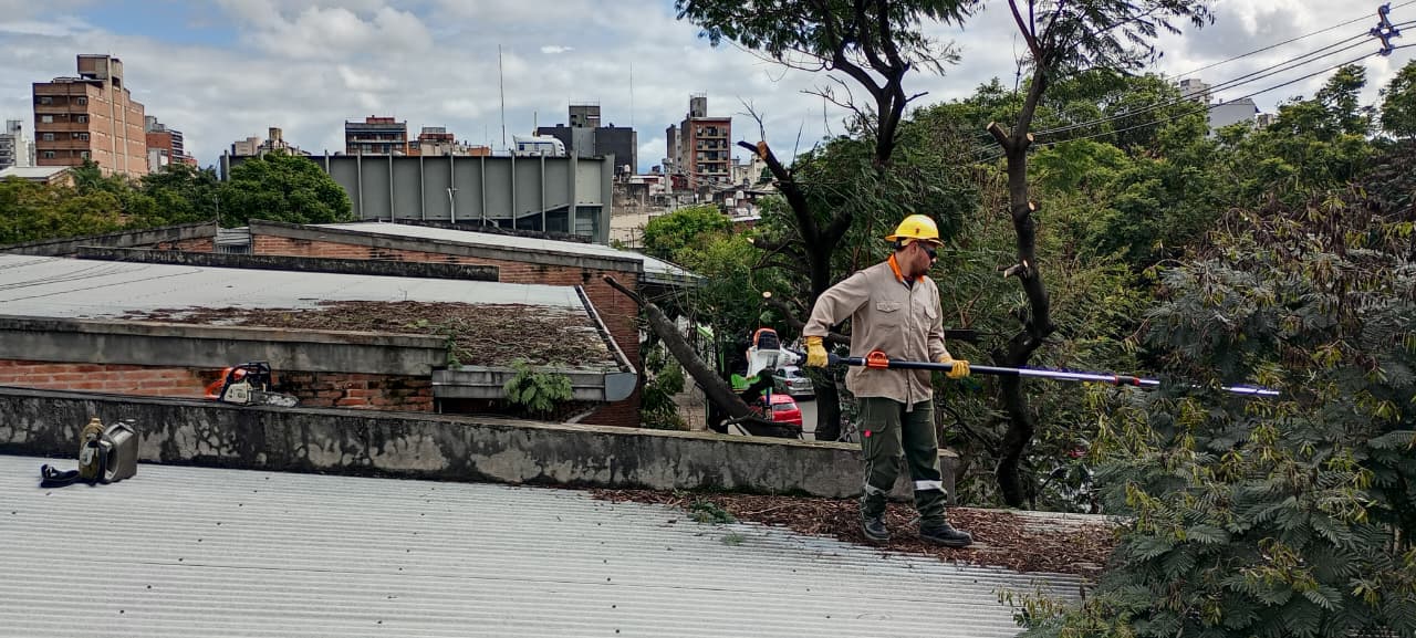Trabajos preventivos en establecimientos educativos